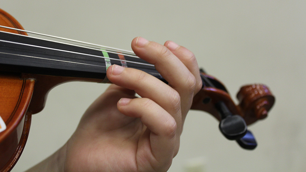 closeup shot of violin